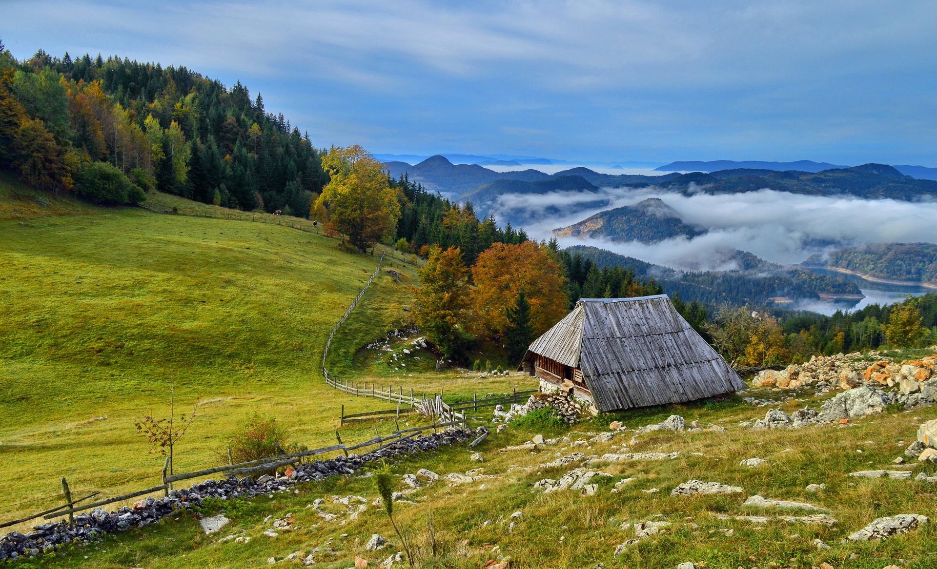 Jesenje jutro na Tari (Autumn morning), Miloš Karaklić